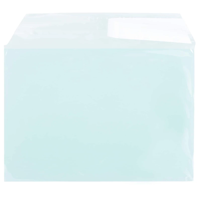 JAM Paper 5.063" x 7.188" Cello Sleeves with Self Adhesive Closures