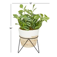 The Novogratz 16" Potted Green Rattan Coastal Artificial Foliage
