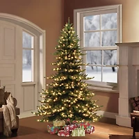 7.5ft. Pre-Lit Royal Majestic Spruce Artificial Christmas Tree, Clear Lights