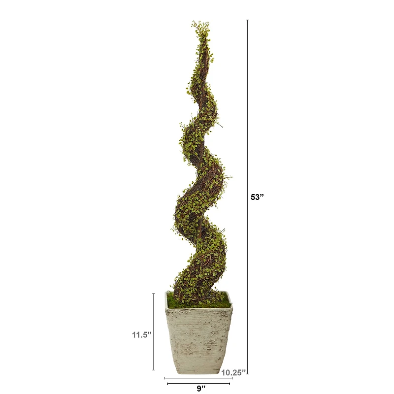 53" UV Resistant Mohlenbechia Spiral Tree in Country White Planter