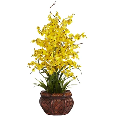 2.5ft. Yellow Dancing Lady Orchid Arrangement with Bamboo Vase