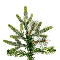8ft. Pre-Lit Shawnee Fir Artificial Christmas Tree, Warm White Dura-Lit® LED Lights
