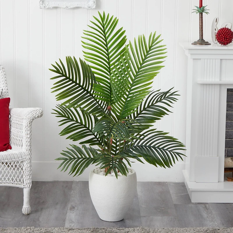 4.5ft. Paradise Palm Tree with White Ceramic Planter