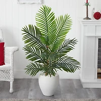 4.5ft. Paradise Palm Tree with White Ceramic Planter