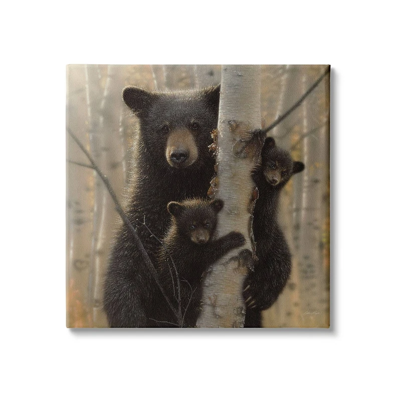 Stupell Industries Black Bear and Cubs Soft Birch Tree Forest Canvas Wall Art