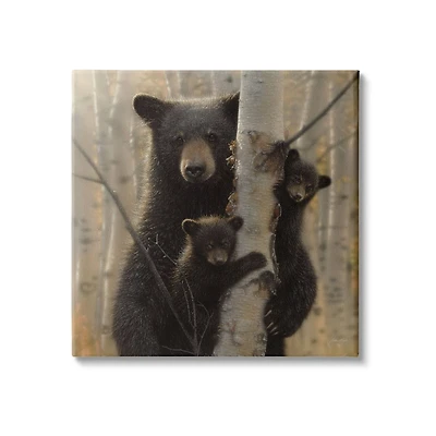 Stupell Industries Black Bear and Cubs Soft Birch Tree Forest Canvas Wall Art