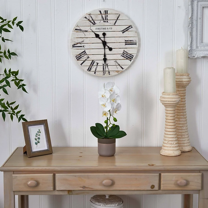 19" White Orchid in Ceramic Pot