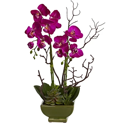 21" Orchid & Succulent Floral Arrangement in Ceramic Pot