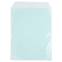 JAM Paper 8.93" x 11.25" Self Adhesive Closure Cello Sleeves