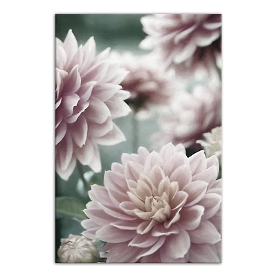 Lilac Dahlias 20" x 30" Canvas Wall Art