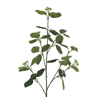 37" Seeded Eucalyptus Stem by Ashland®