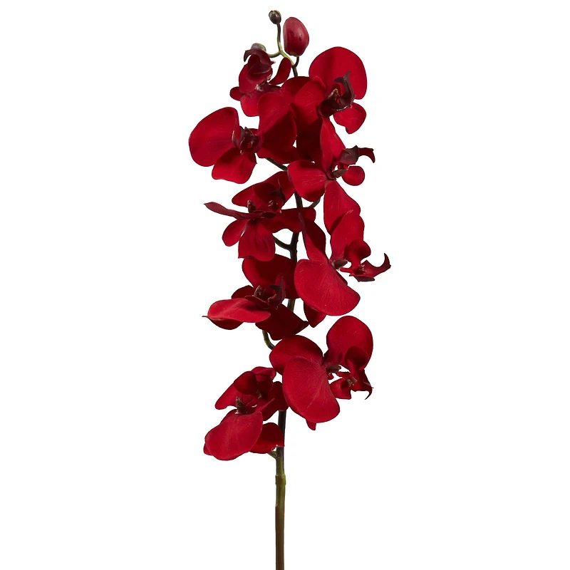 Christmas Red Moth Orchid Pick, 4ct.