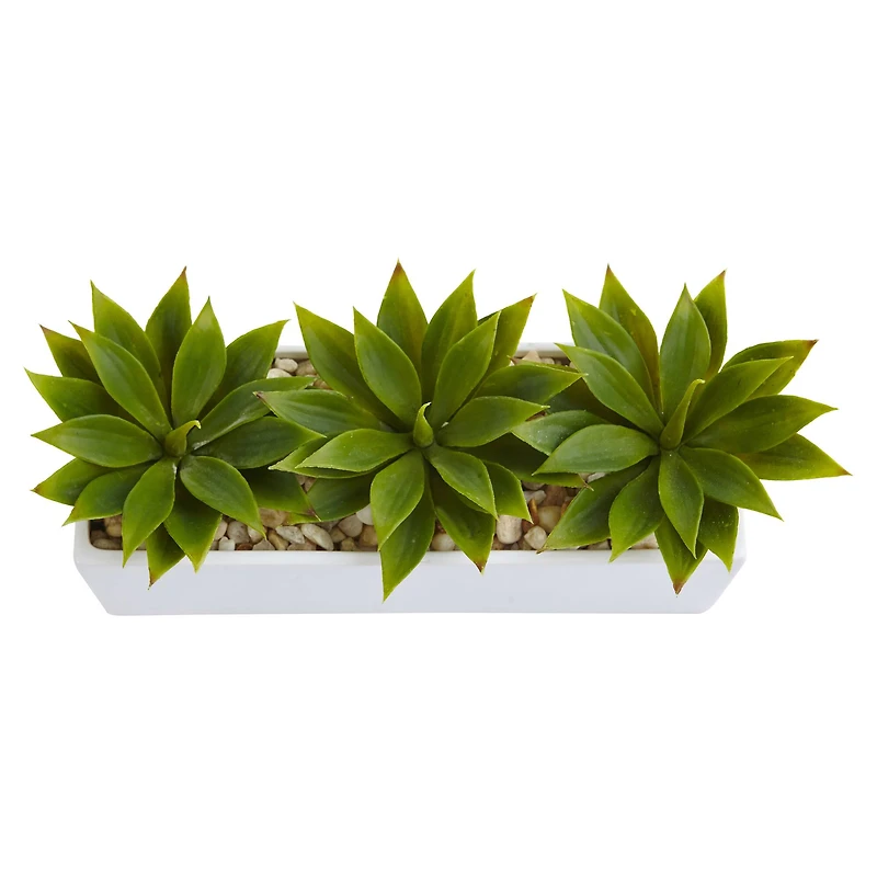 13" Agave Succulent in White Rectangular Planter