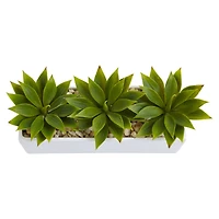 13" Agave Succulent in White Rectangular Planter