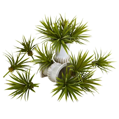 Spiky Agave Succulent Pick, 12ct.