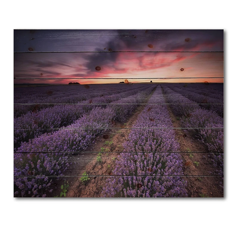 Designart - Sunrise & Dramatic Clouds Over Lavender Field IX