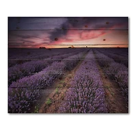 Designart - Sunrise & Dramatic Clouds Over Lavender Field IX