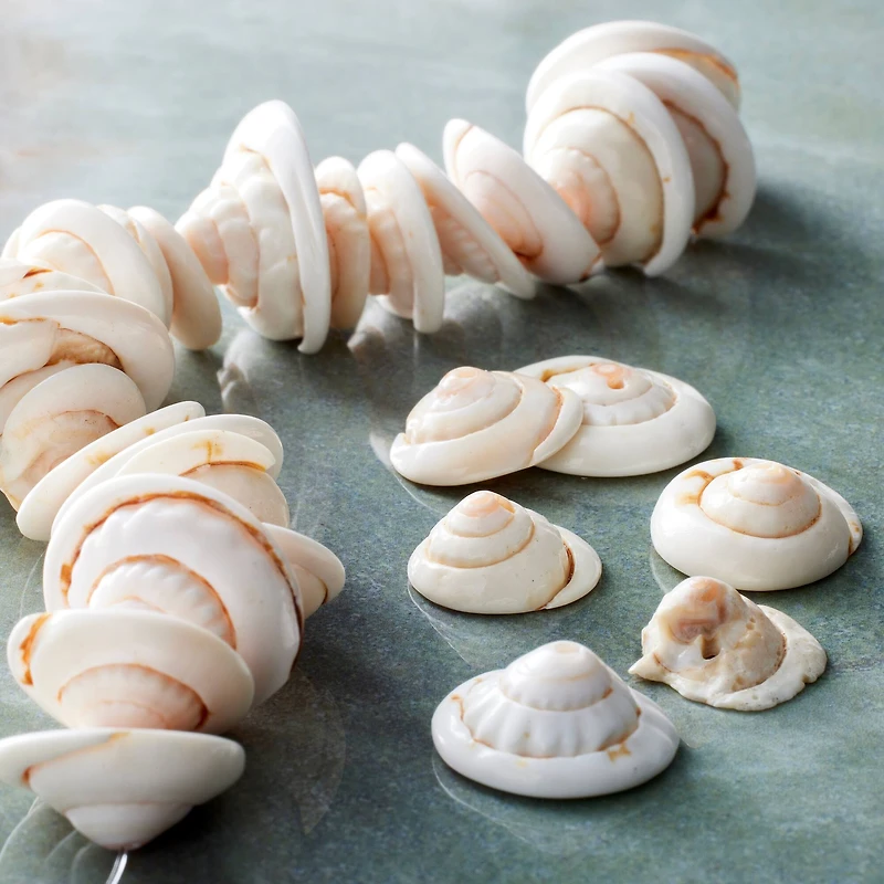 12 Pack: Natural Shell Nugget Beads, 13mm by Bead Landing™