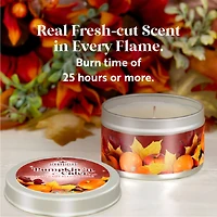 Scentsicles Candles Autumn 'n Apples, Pumpkin 'n Cider, Spiced Pine Cones, 3 pack