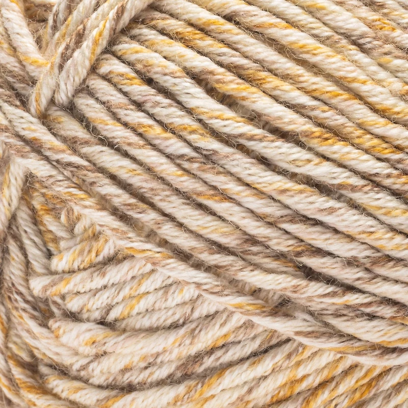 2 Pack Caron® Simply Me Mosaic™ Yarn