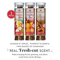 Scentsicles Stick Autumn 'n Apples, Pumpkin 'n Cider, Two Dashes of Cinnamon, 3 pack of 6