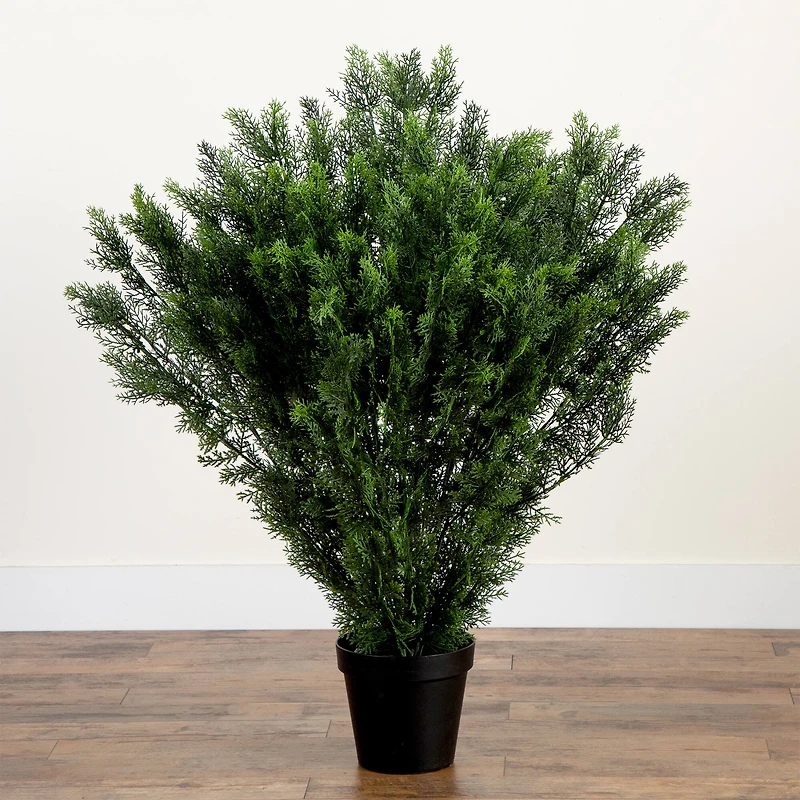 4ft. UV-Resistant Potted Cedar Bush