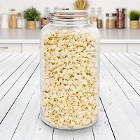 Gibson Home® Alpha 2.4gal. Glass Canister Frasco