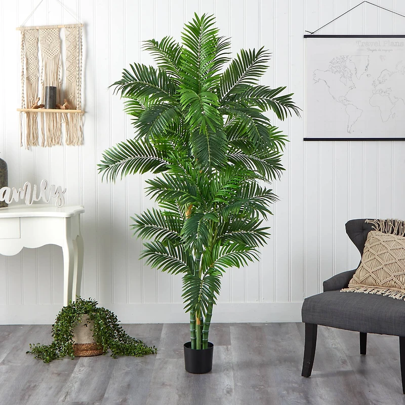 6ft. Potted Curvy Parlor Palm Tree