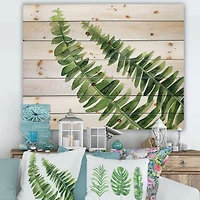 Designart - Fern Leaves Detail I