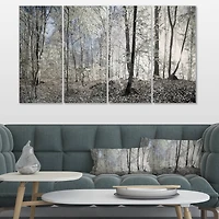Designart - Dark Morning in Forest Panorama