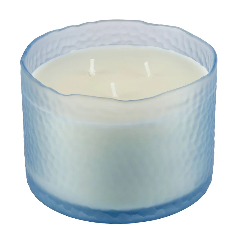 16oz. 3-Wick Scented Glass Candle by Ashland