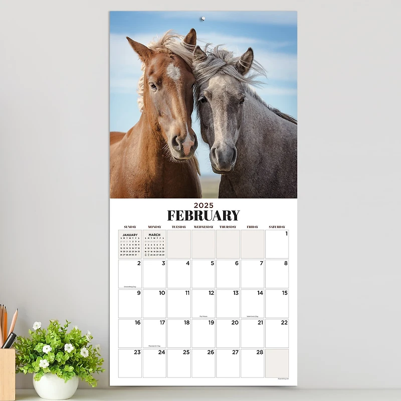 TF Publishing 2025 Horses Wall Calendar