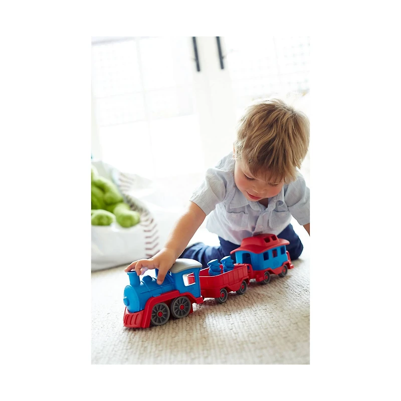 Train Set