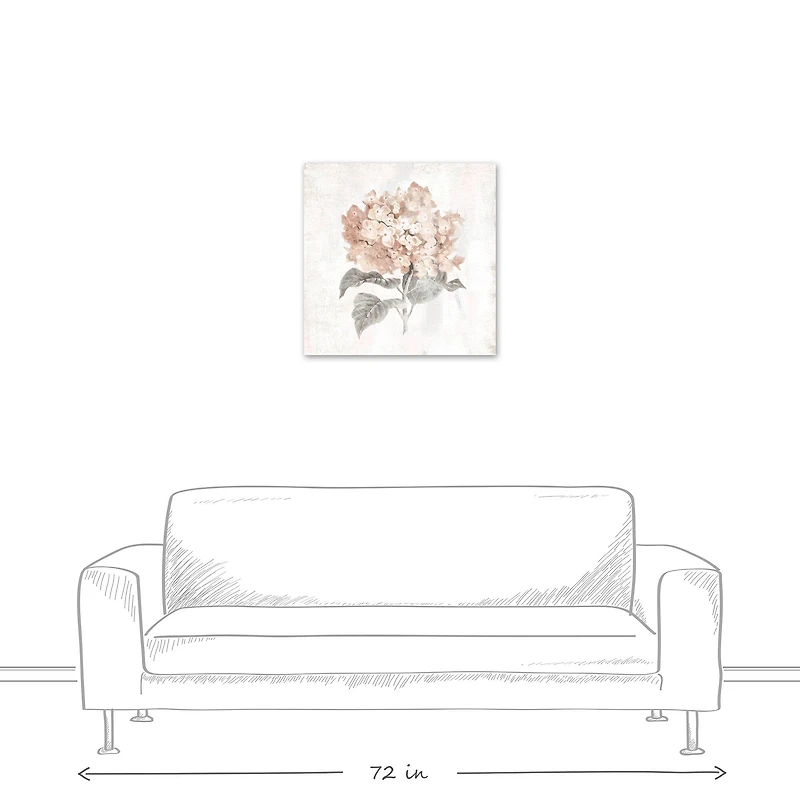 Blush Hydrangea 24" x 24" Canvas Wall Art
