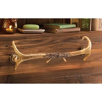 19.5" Rustic Antler Towel Rack
