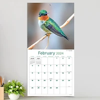 TF Publishing 2024 Backyard Birds Wall Calendar