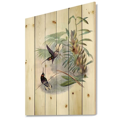 Designart - Vintage Hummingbird On A Branch