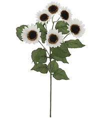 White Sunflower Stem by Ashland®