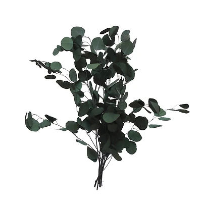 24" Dark Green Silver Dollar Eucalyptus by Ashland®
