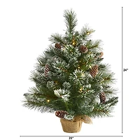 2ft. Pre-Lit Frosted Pine Artificial Christmas Tree with Pinecones, Clear LED Lights