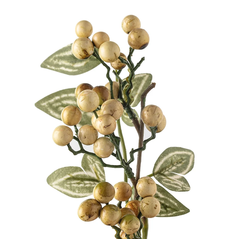 Yellow & Green Berry Stem with Leaves by Ashland®