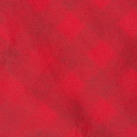 DII® Red & Black Buffalo Check Holiday Tree Skirt 