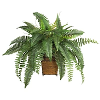 23" Boston Fern with Wicker Basket Planter