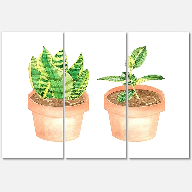 Designart - Sansevieria & Ficus Indoor Green Home House Plants