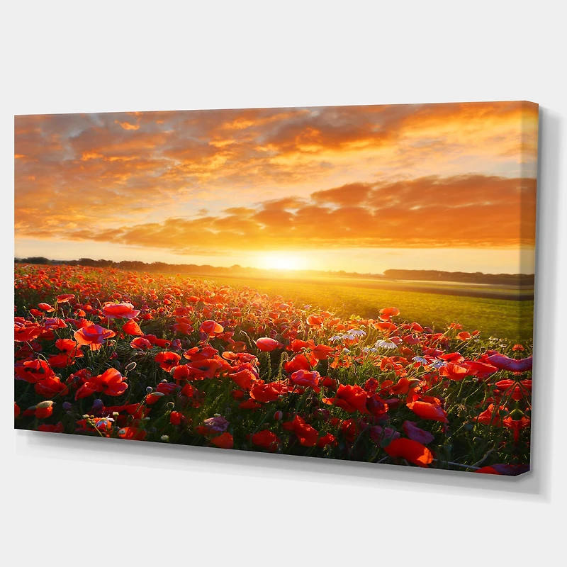 Designart - Beautiful Poppy Field at Sunset - Oversized Abstract Canvas Art Print