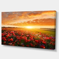Designart - Beautiful Poppy Field at Sunset - Oversized Abstract Canvas Art Print