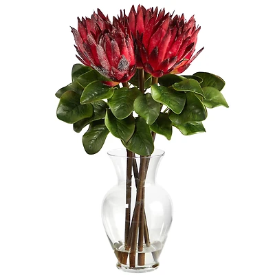 23" Red King Protea Arrangement in Glass Vase