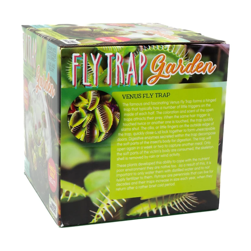 Glass Terrarium - Fly Trap Garden