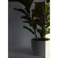 RoomMates Black Energy Film