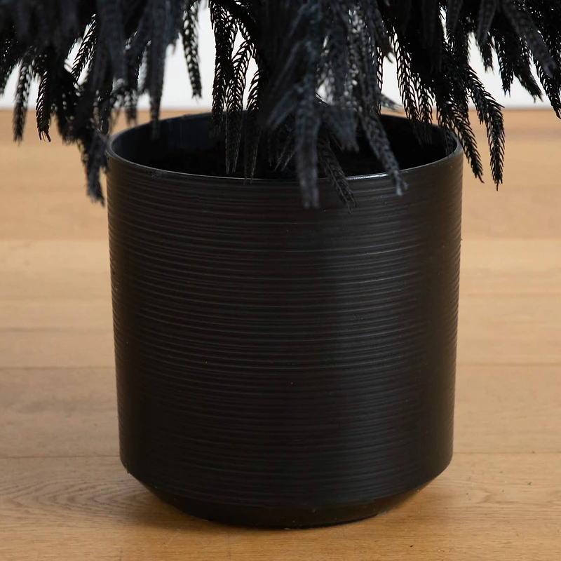 6ft. Artificial Halloween Real Touch Black Norfolk Pine Christmas Tree with Natural Look